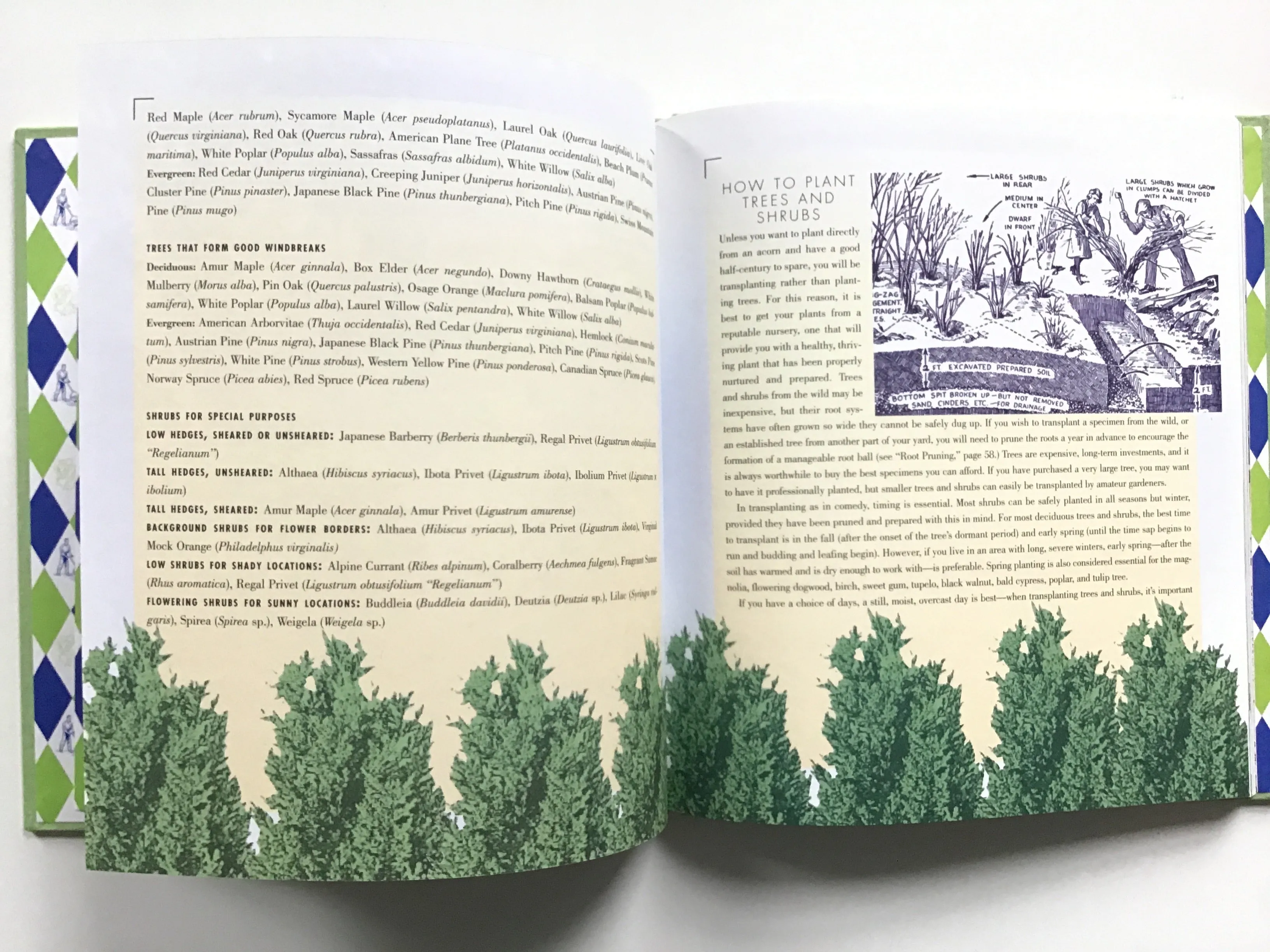 The Old-Time, Blue-Ribbon Gardener's Handbook