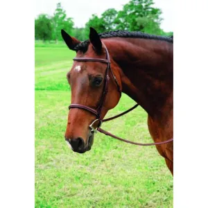 Vespucci Single Crown Fancy Raised Hunt Bridle