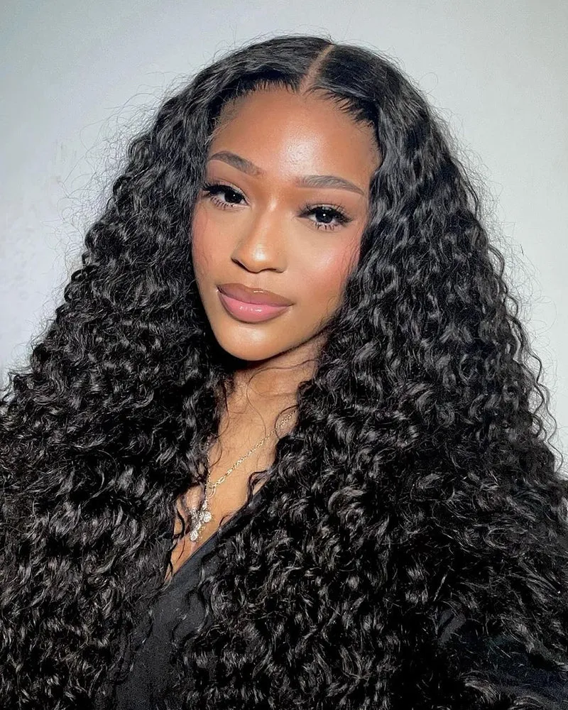 Water Wave Natural Black 4x4/13x4 Lace Human Hair Wig Free Part