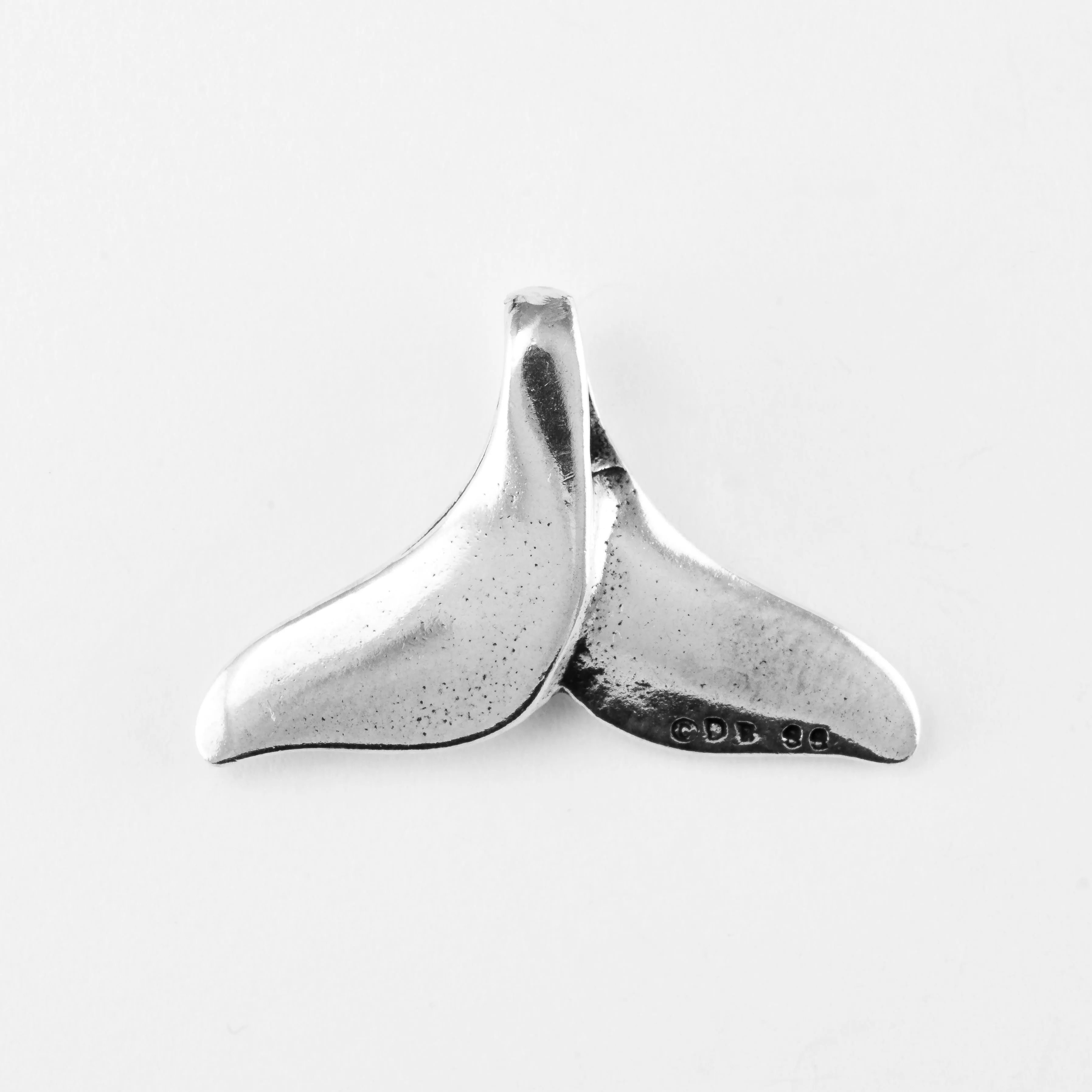 Whale, Fluke