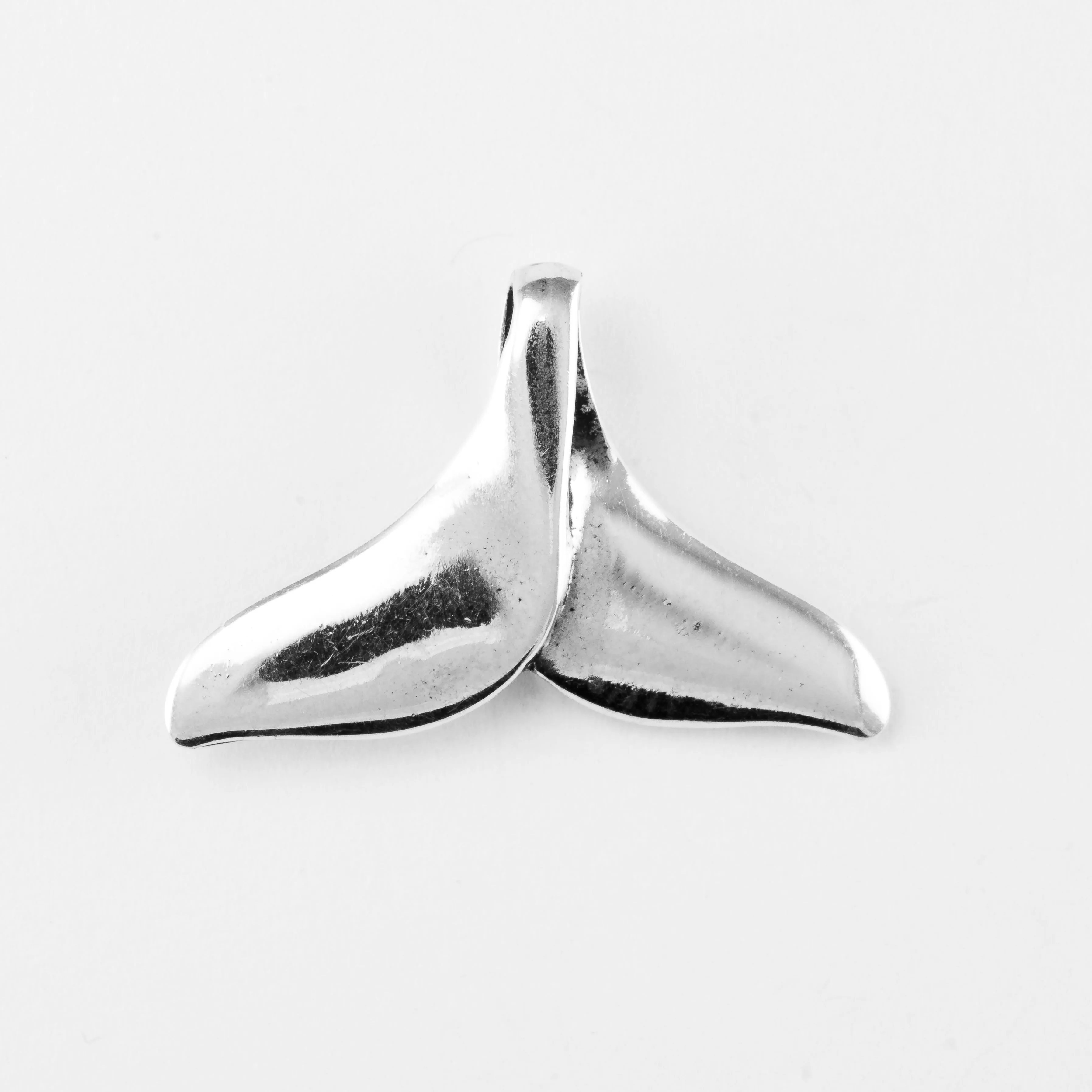 Whale, Fluke