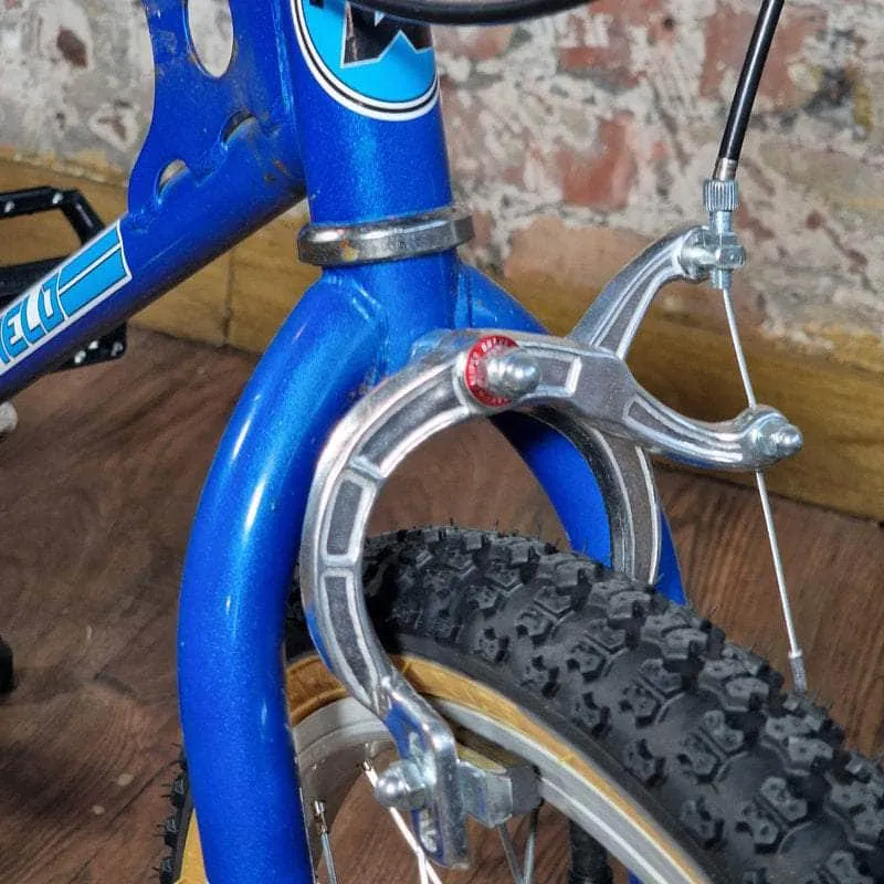 Whitefield Expert Bike Candy Blue