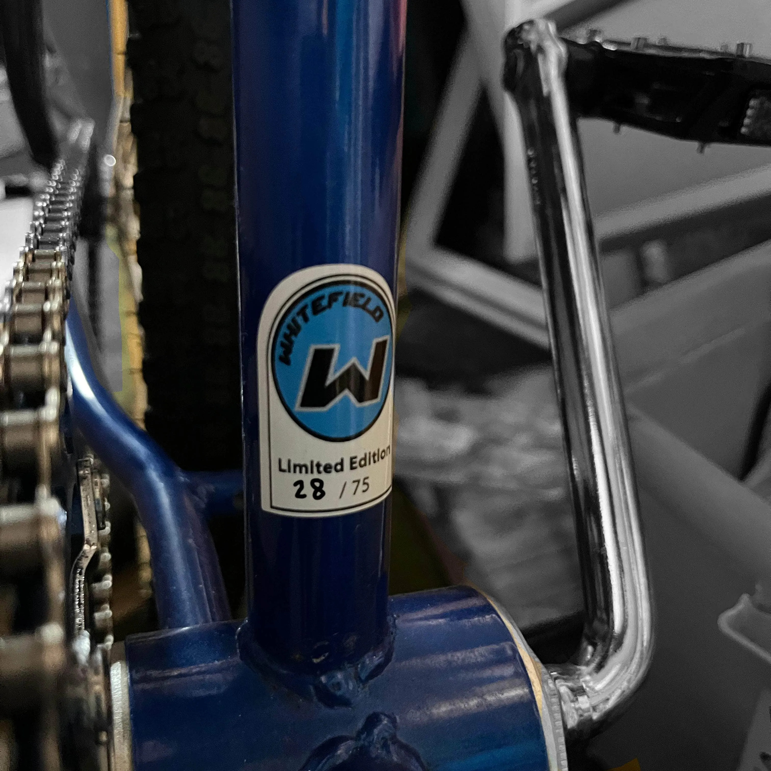 Whitefield Expert Bike Candy Blue