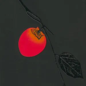 Work 74-66 - Kaki - Persimmon
